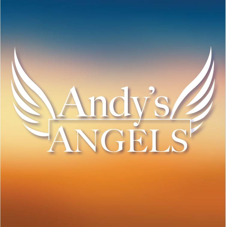 Andys Angels logo